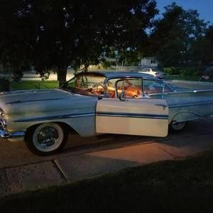 Meet your Posher, Janice